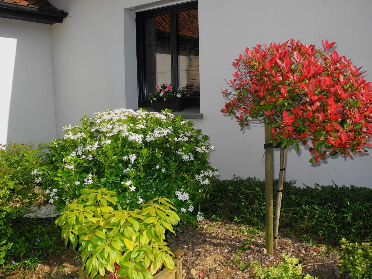 Colline De Casa vacanze Widehem